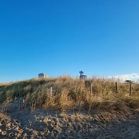 Frische-brise-07-05 Cuxhaven